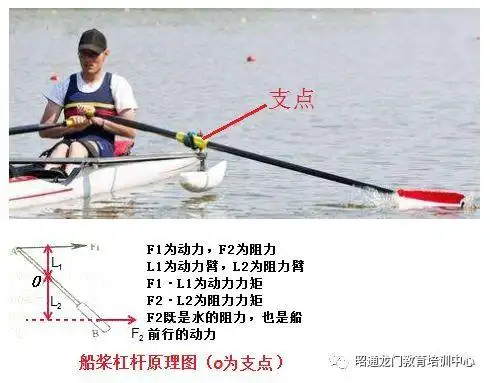 龙门教育每日常识解析3月16日