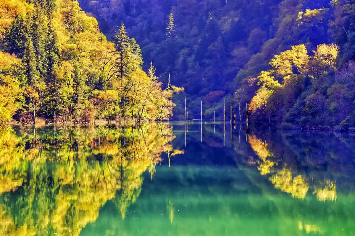 2021年自驾游(抖音图文)之四川松坪沟美景之一#创作灵感  - 抖音