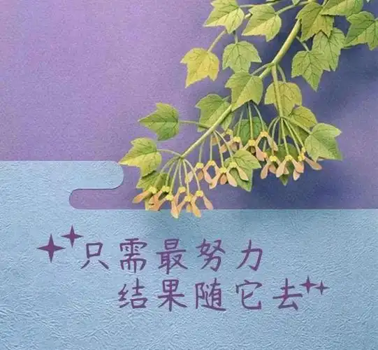 生活感悟经典几个字(生活感悟经典句子100)