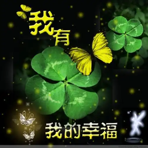 云起雪飞, - 云起雪飞 - 网易博客