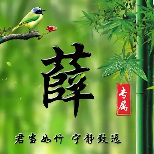 编号2326免费姓氏微信头像竹报平安宁静致远