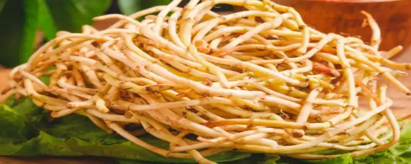 白茅根和鱼腥草的区别