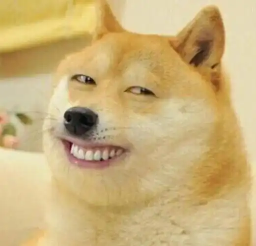 添加了一个由doge脸为蓝本创作的emoji表情