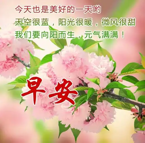 每天一句温馨的问候语图片 早晨问候早上好的暖心图片