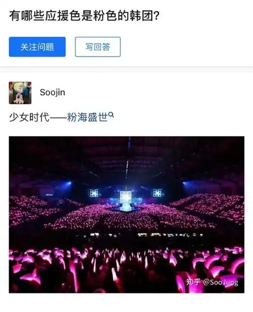 赛琳娜晒图感谢粉丝 被扒出是少女时代演唱会应援图|游民星空