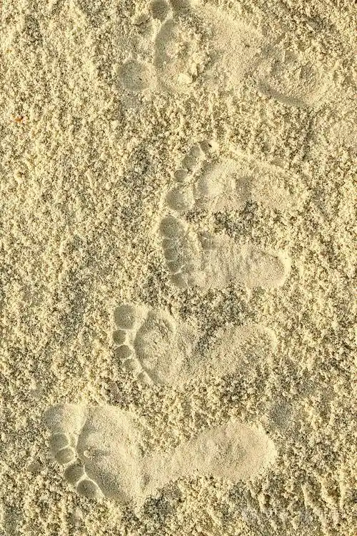 海边沙滩上美丽的脚印