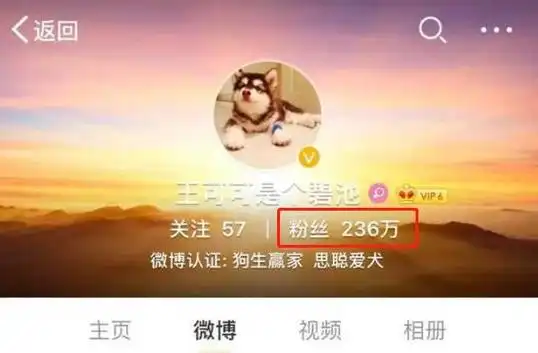 7年熬走思聪多任女友,负面不断却独得宠爱|网红|王可可|王思聪|周鸿祎