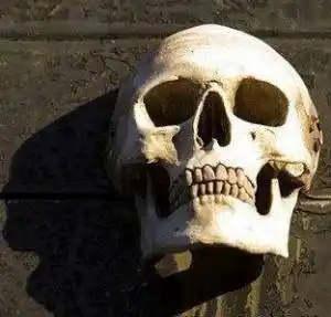 21,用恐怖图象做头像