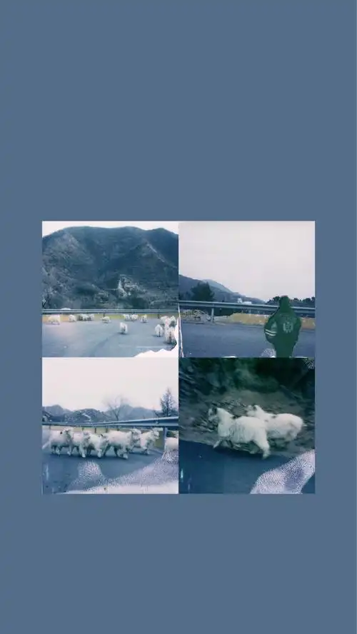 易烊千玺寄来新的明信片啦随手记录下美好的风景和大家分享拍的特别有