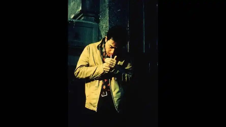 p>《春光乍泄》是由 a href="#" data-lemmaid="373607">王家卫 /a>