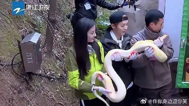 奔跑吧:热巴鹿晗帮蛇搬家,鹿晗吓得直发抖,热巴居然没反应
