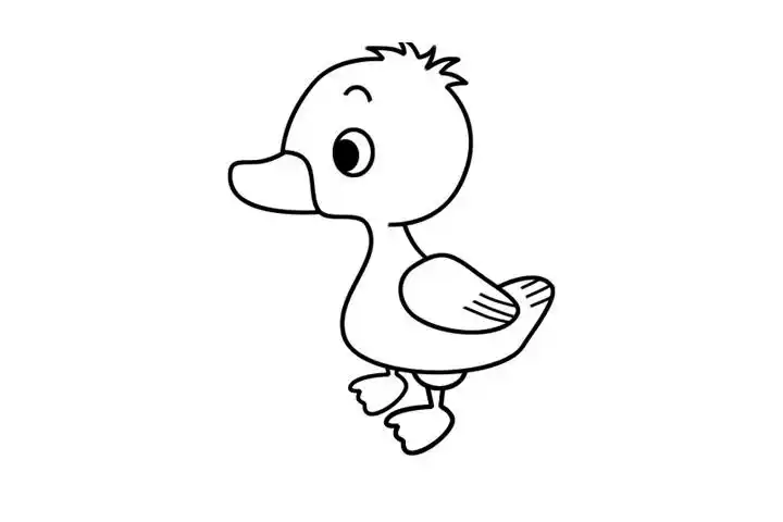 鸭子简笔画的画法和步骤