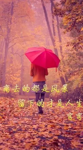 一弯弯(原创壁纸/文字锁屏/心情语录//更多请关注:弯弯丶)