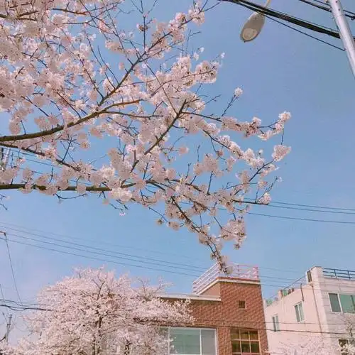 韩风ins 背景图73