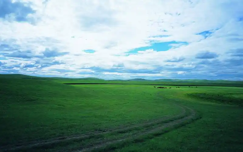 美丽绿色草原壁纸