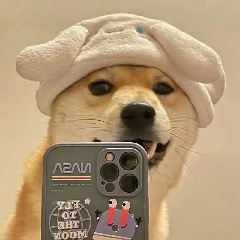 单身狗头像! 在网上搜到的一组头像,太搞笑了,分享一波,自己保存哈