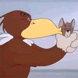 250_250gif 动态图 动图