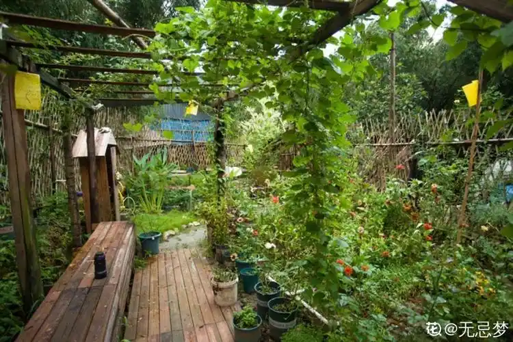 他甘愿回到农村把荒废的老屋改造成花园