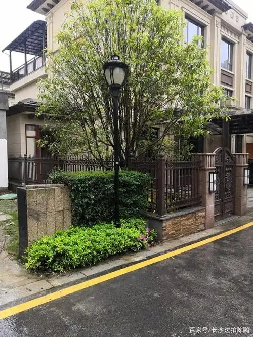 一楼雨棚,3楼封闭. 最霸气的入户门都是边户改装的