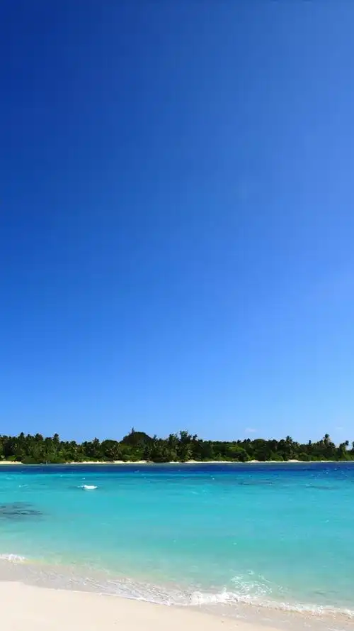 蓝色大海h5背景 (1)