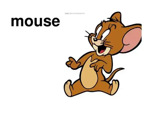 三年级英语上册 unit11 i like the bird课件4 (新版)湘少版