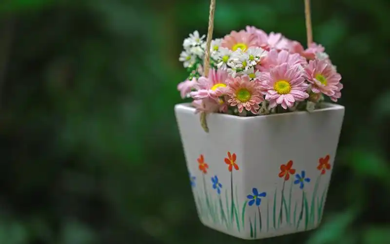 小清新治愈系盆栽锁屏电脑高清壁纸图片下载