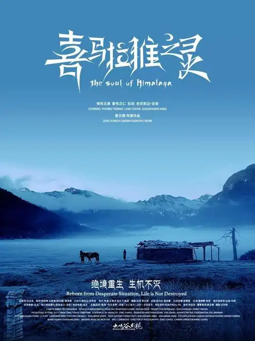 厦门| 2018最后的艺术电影盛宴