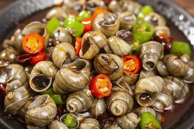 大排档去得越来越少,就想念那一口鲜爽的麻辣田螺|螺肉|拌饭|罐头|炒