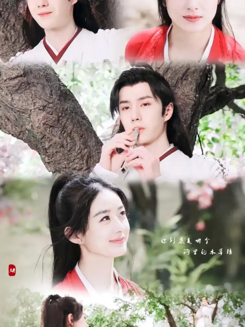 [害羞][害羞][害羞] #赵丽颖王一博的有翡