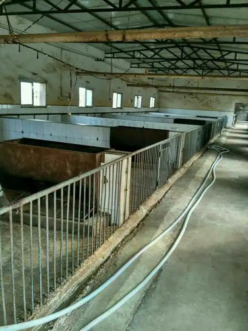 韩平养猪场猪圈.
