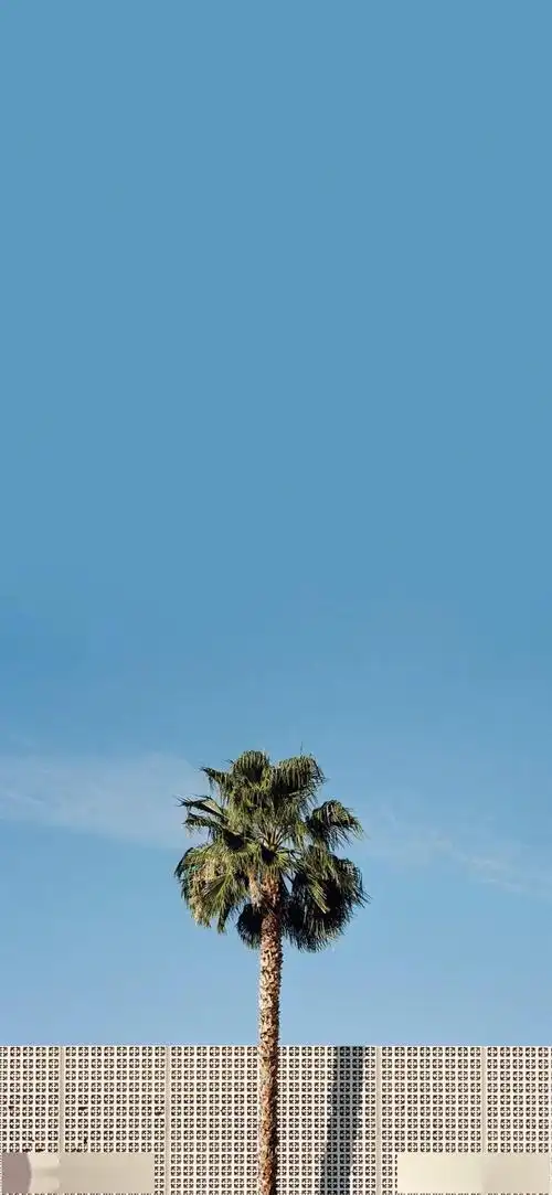 全面屏壁纸高清唯美小清新壁纸大图