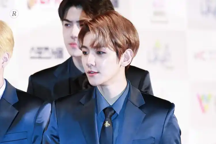 边伯贤·蓝丝绸西装太鲨人