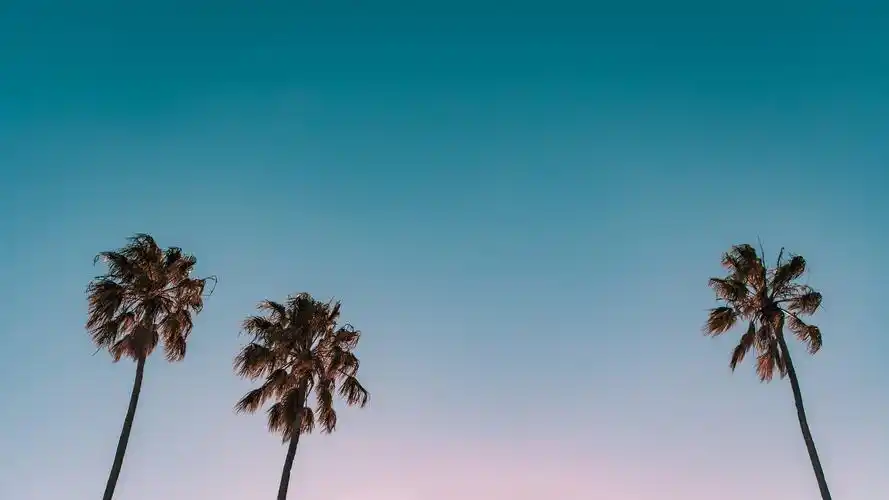 简约淡雅壁纸51