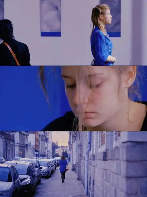 电影推荐蓝色是最温暖的颜色