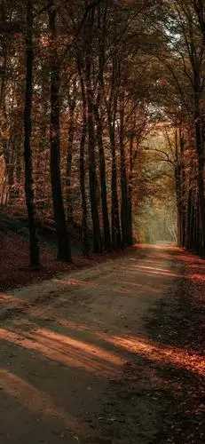 抖音精选壁纸丨全面屏壁纸