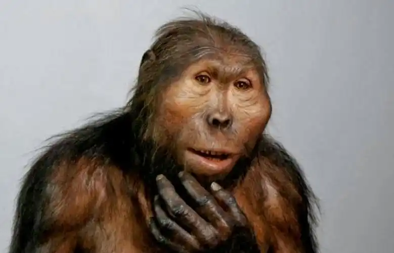 猿进化为人类陶器起源