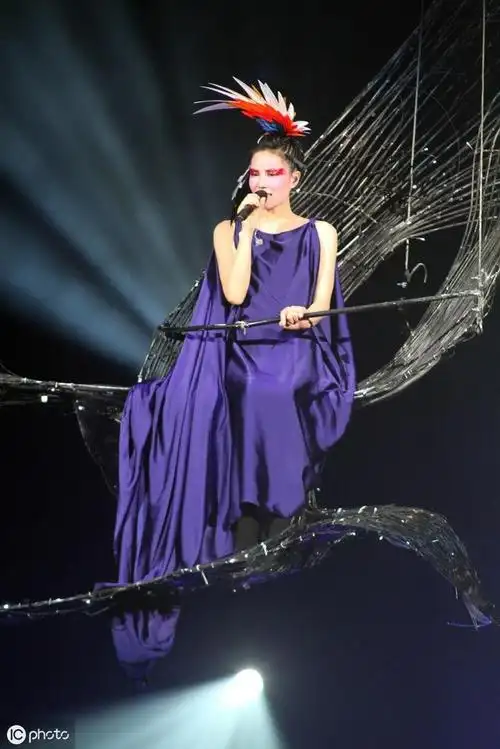 这些演唱会雷人造型,也只有王菲才能驾驭吧