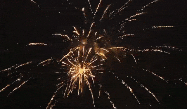 璀璨的烟花,在空中盛开 寄托着村民美好的愿望 祝愿所有村民身体健康