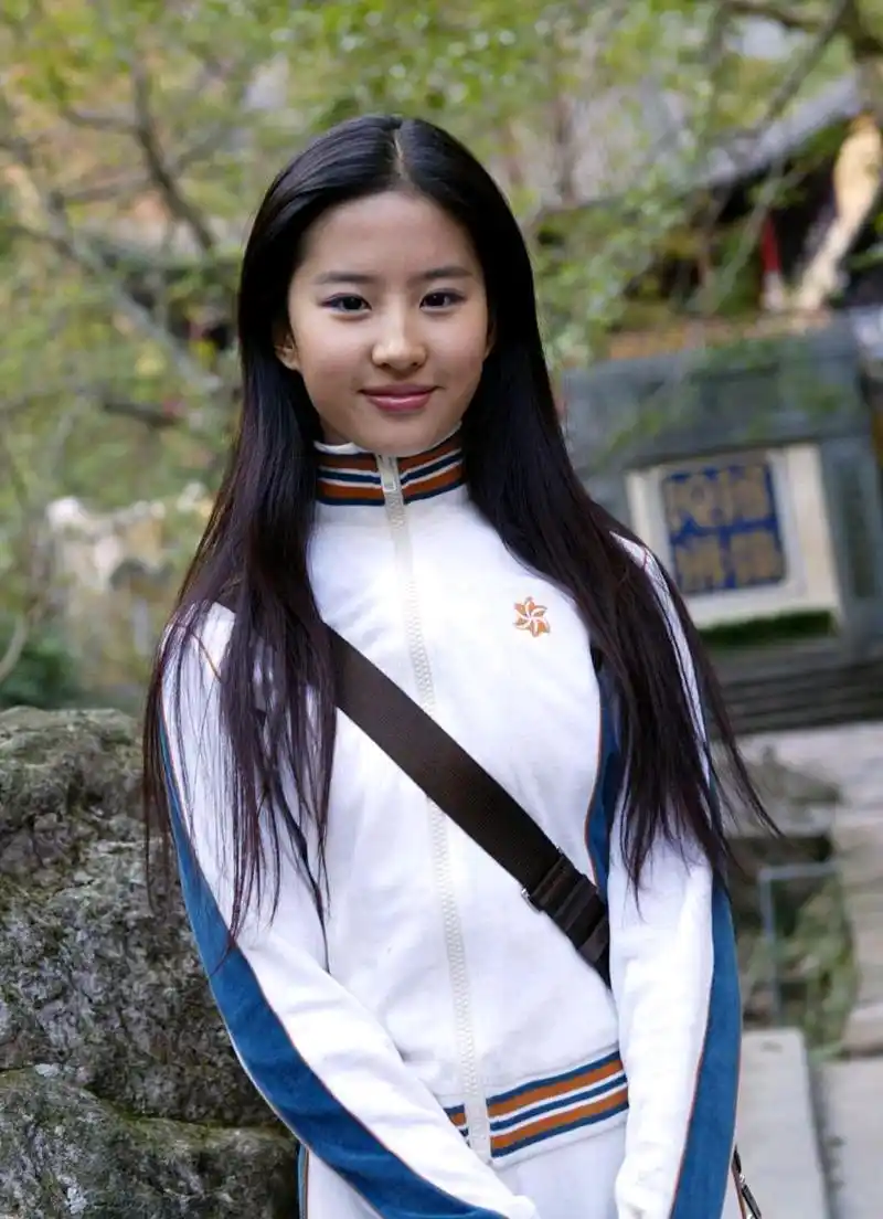 刘亦菲14岁凭借一部电视剧崭露头角