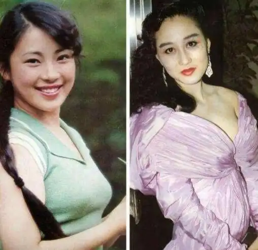 抛开李连杰不说,黄秋燕和利智到底谁更漂亮?