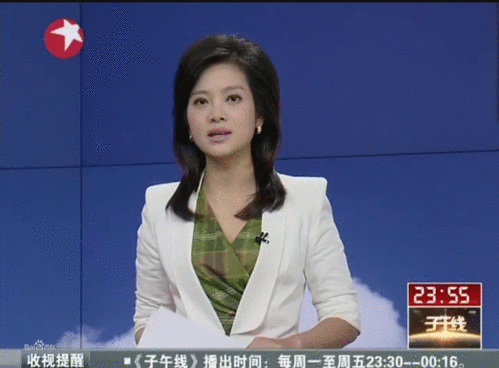 离开川台亮相东方卫视 雷小雪只为追随老公 .