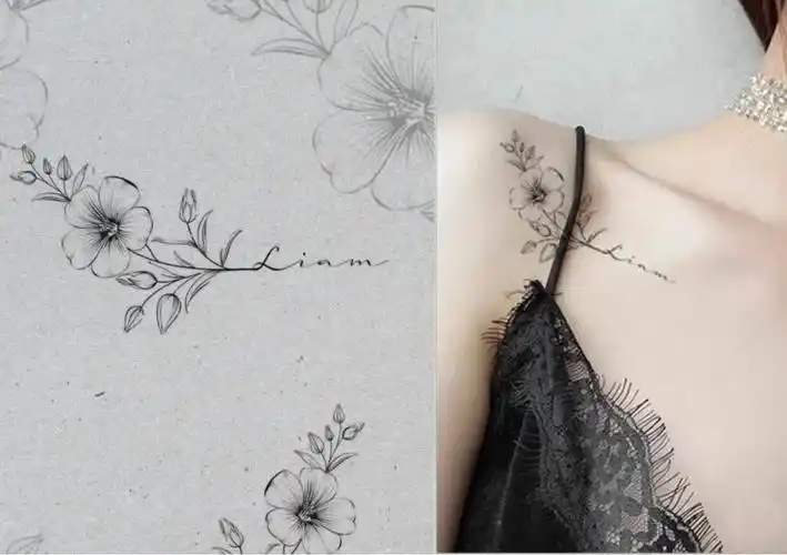 它的花型像皇冠一样,代表着高贵,优雅包容 平和 放下 合心合意 "百"