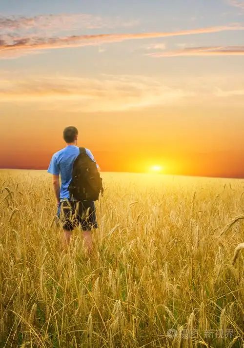 黄小麦草甸的男人照片-正版商用图片0viu6h-摄图新视界