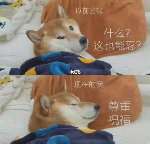 以前的我vs现在的我表情包