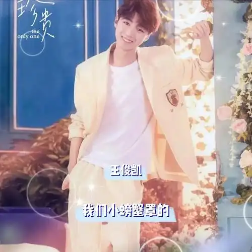 若有人黑王俊凯我保证她他不得安宁