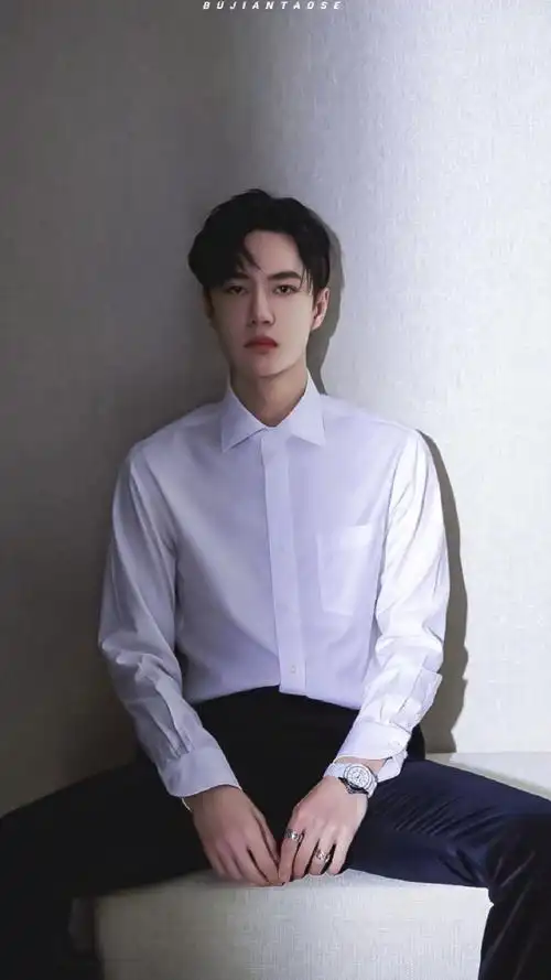 王一博白衬衫证件照