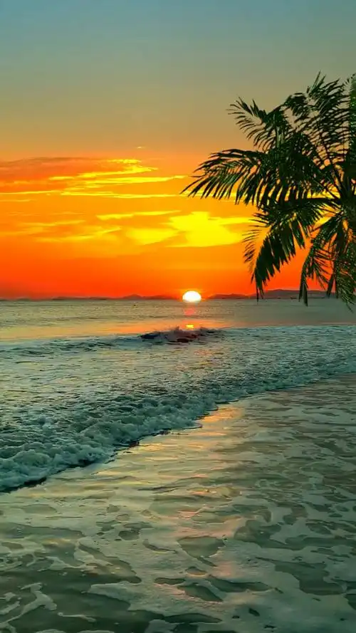 "世界上美好的东西不太多,清晨海边的日出,和笑起来要人命的你"