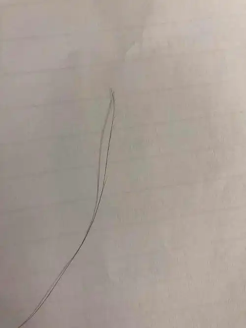 水 你们见过一根头发七个叉么【加个慎入吧】