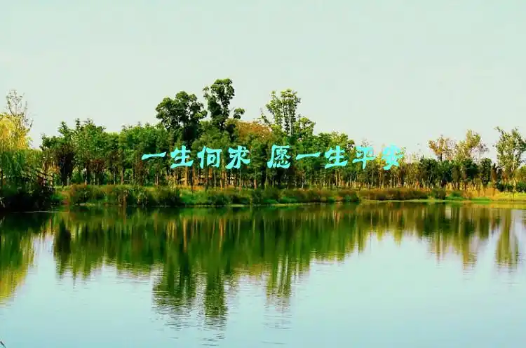 一生何求 愿一生平安 - 绽放笑容 - 绽放笑容