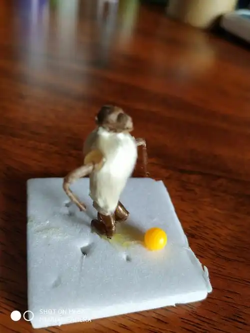 爱运动的小毛猴